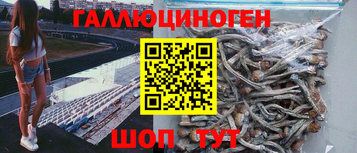Кимовск  Галлюциногенные грибы MAGIC MUSHROOMS  Вход с VPN 